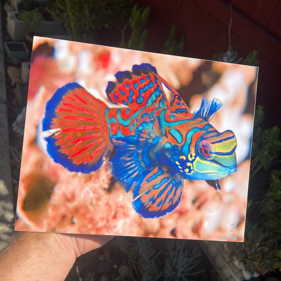 Exotic Tropical Mandarin Gobi Fish Lithography - Picture 7 of 9